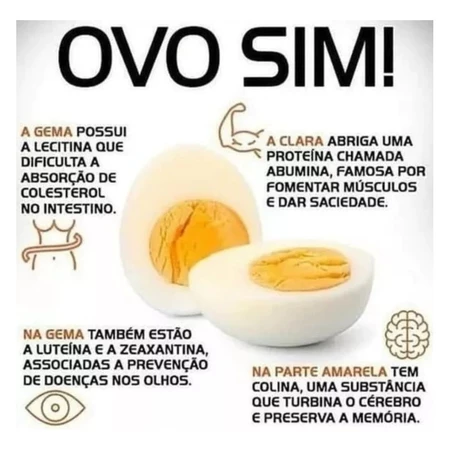 Imagem 8