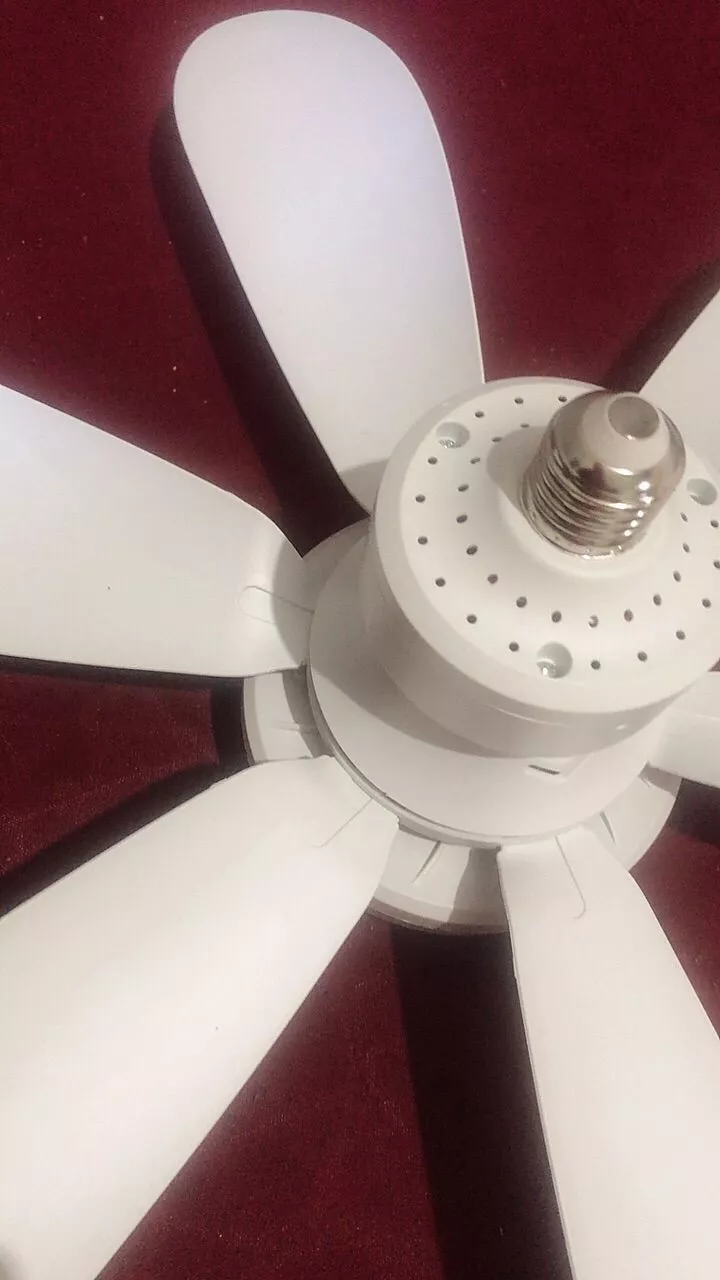 Foto de cliente 6 do Ventilador de Teto com LED