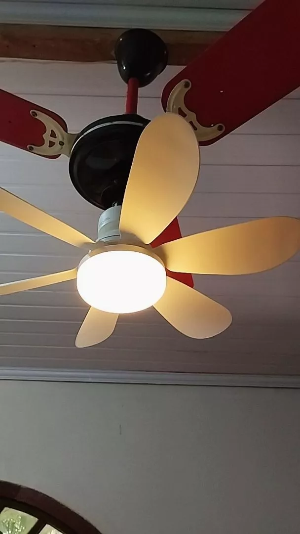 Foto de cliente 1 do Ventilador de Teto com LED