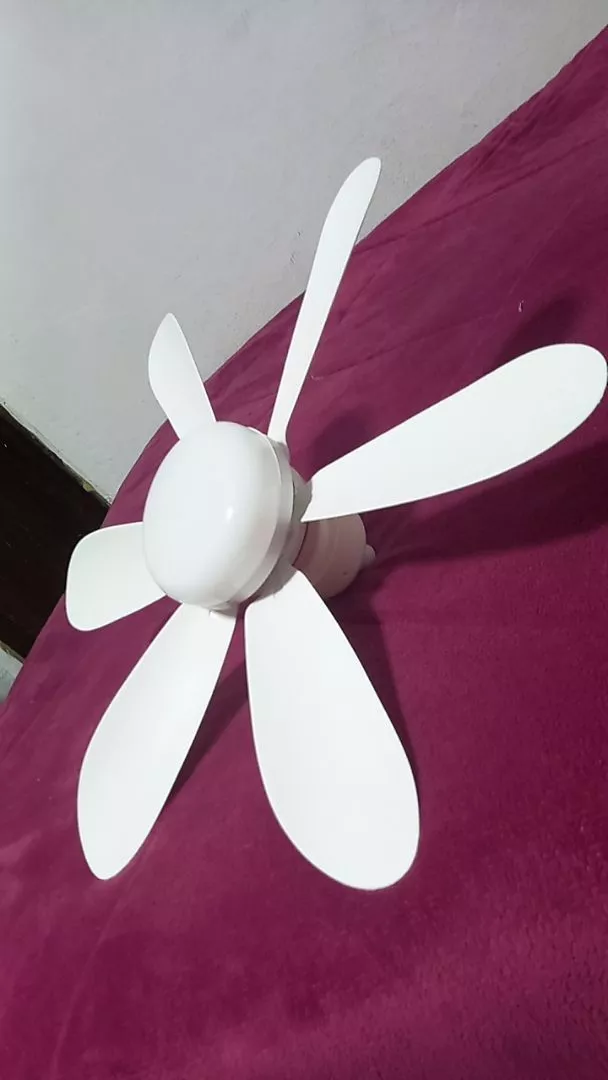 Foto de cliente 4 do Ventilador de Teto com LED