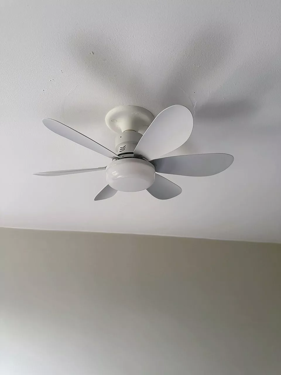 Foto de cliente 8 do Ventilador de Teto com LED