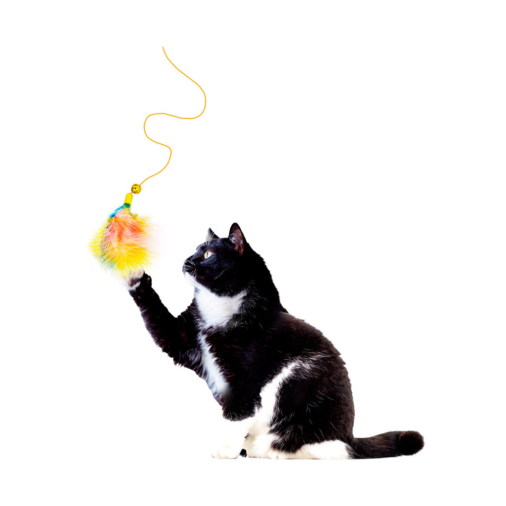 Brinquedo Líder Varinha com Penas para Gatos - Cores Sortidas