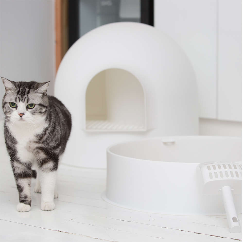 Caixa de Areia Pidan Igloo Branca para Gatos