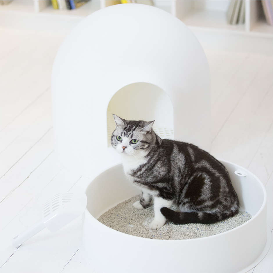 Caixa de Areia Pidan Igloo Branca para Gatos