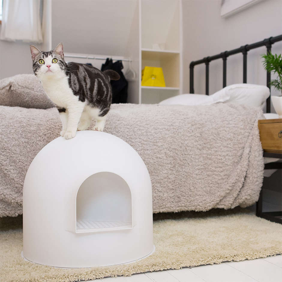 Caixa de Areia Pidan Igloo Branca para Gatos
