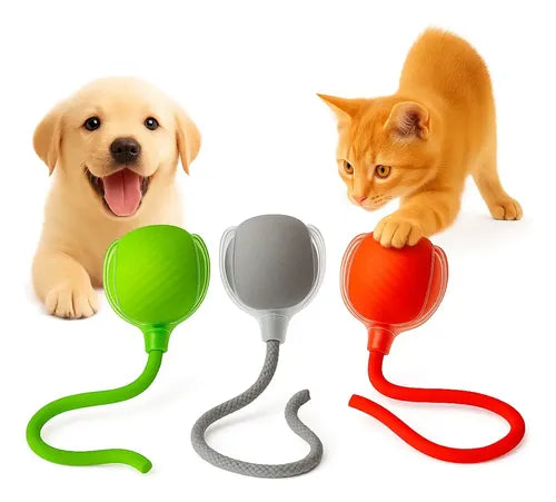 Bolinha Recarregável Para Pet Com Luz E 3 Modos Gato Cão