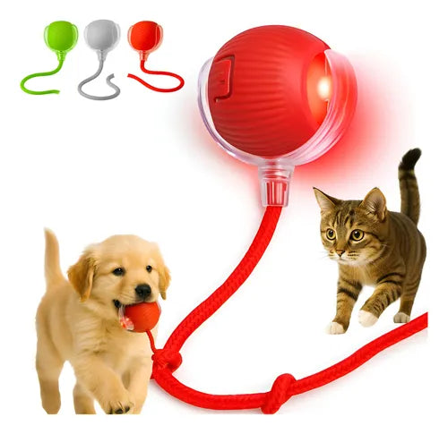 Bolinha Recarregável Para Pet Com Luz E 3 Modos Gato Cão