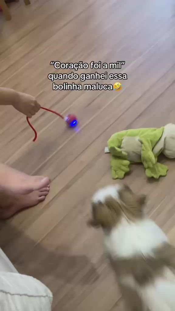 Bolinha Recarregável Para Pet Com Luz E 3 Modos Gato Cão